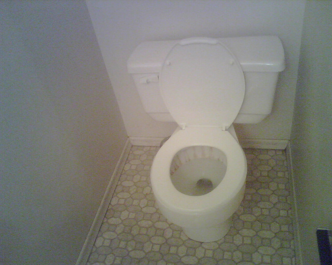 Downstairs (1st Floor) bathroom's toilet (1 of only 2 in the whole house) [will need to be cleaned by landlord before move-in]